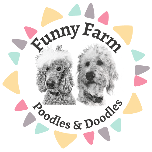 Funny Farm Poodles & Doodles