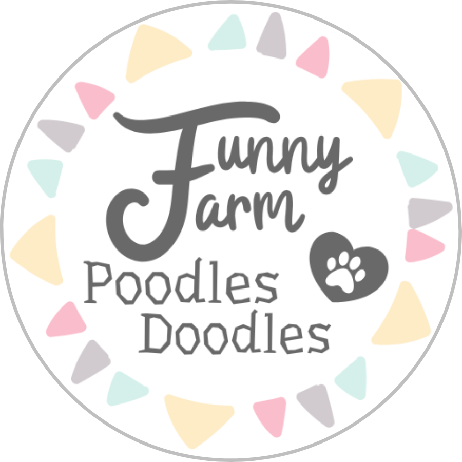 Funny Farm Poodles & Doodles